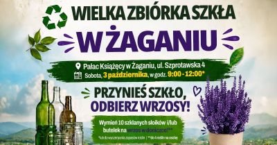 Oddaj szkło i odbierz wrzosy przy pałacu